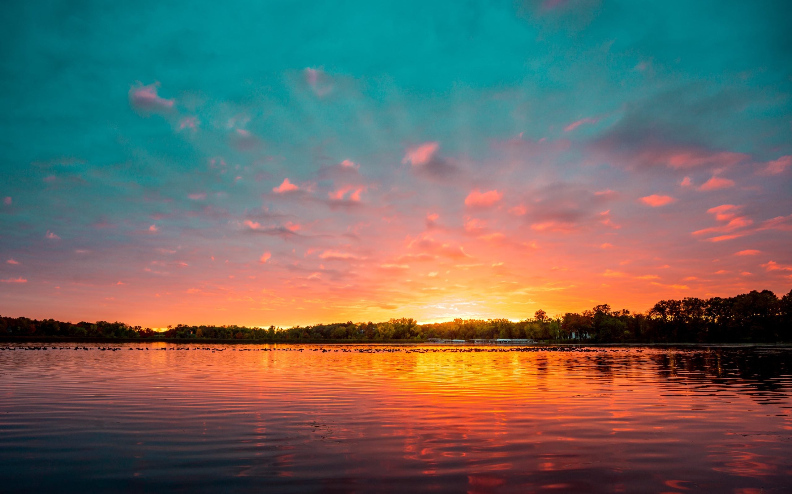 Minnesota’s Top Paddle Boarding Lakes and Rivers – Starboard North America